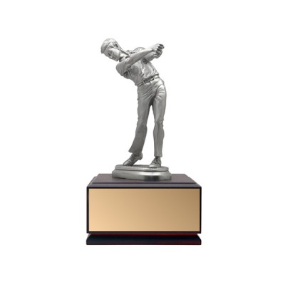 Customised 3D Pewter Trophy