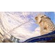 The "Merlion", our National Symbol