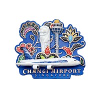 Singapore Souvenirs