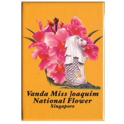 Metal Photo Magnet - Merlion/Vanda